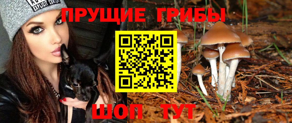 наркошоп  Галлюциногенные грибы мухоморы  Советск  Вход с VPN  Псилоцибиновые грибы Magic Shrooms 
