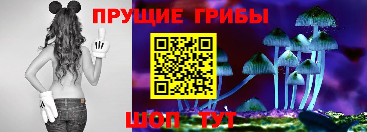 Галлюциногенные грибы MAGIC MUSHROOMS Советск